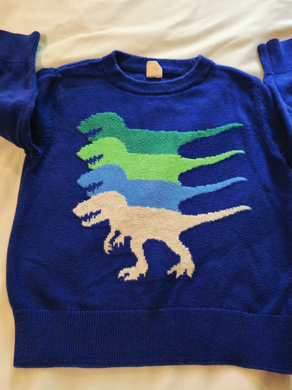GAP Blue Crewneck Sweater with Green and Cream Dinosaur Intarsia